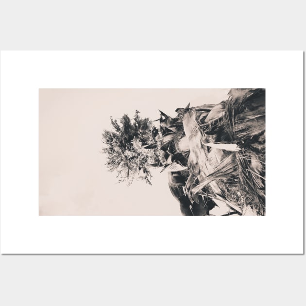 Date palm tree from below Wall Art by wavemovies